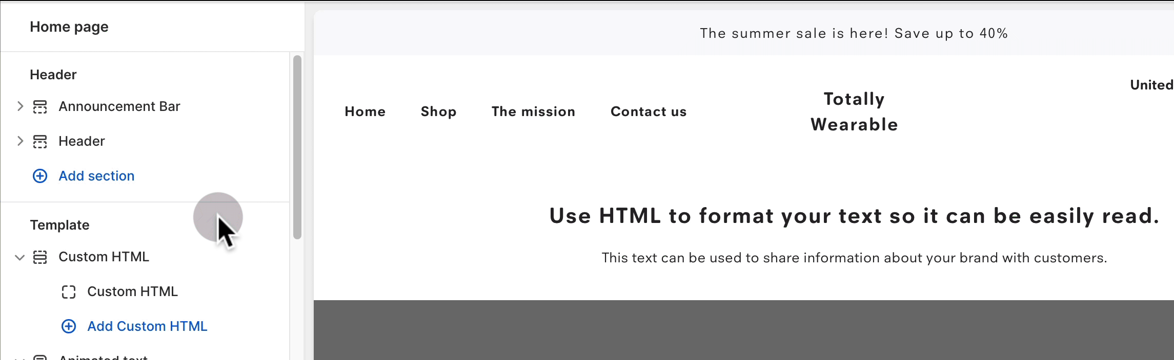 Custom HTML Example.gif