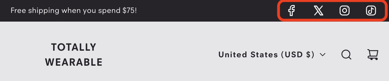 Theme Settings - Social Media Icons.png